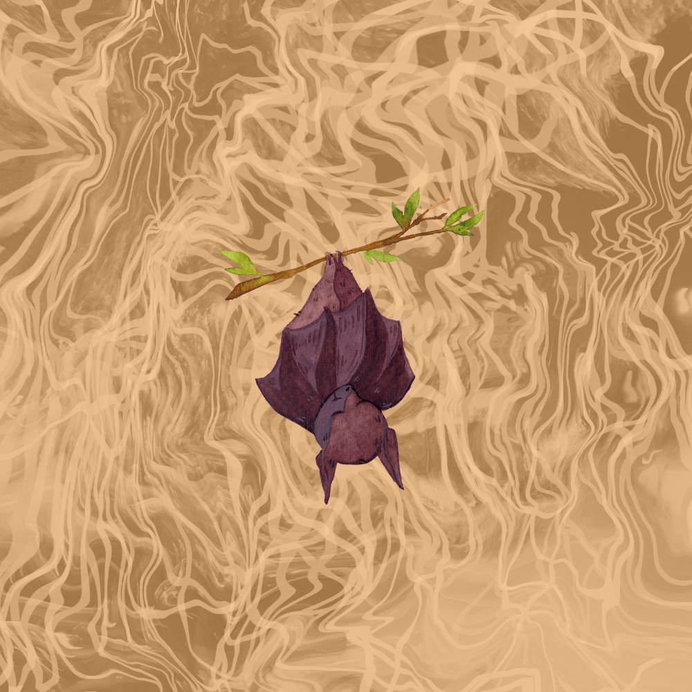 A drawing of a bat on a tangerine orange background
