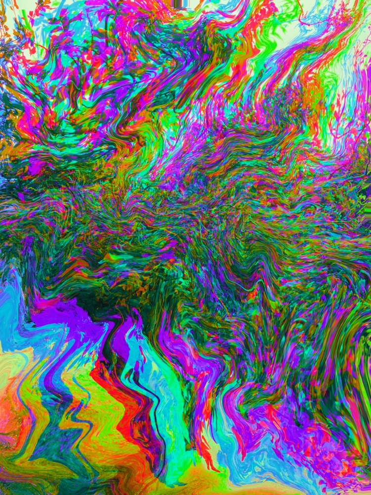 Visual art piece #19 from the True Onion Collection